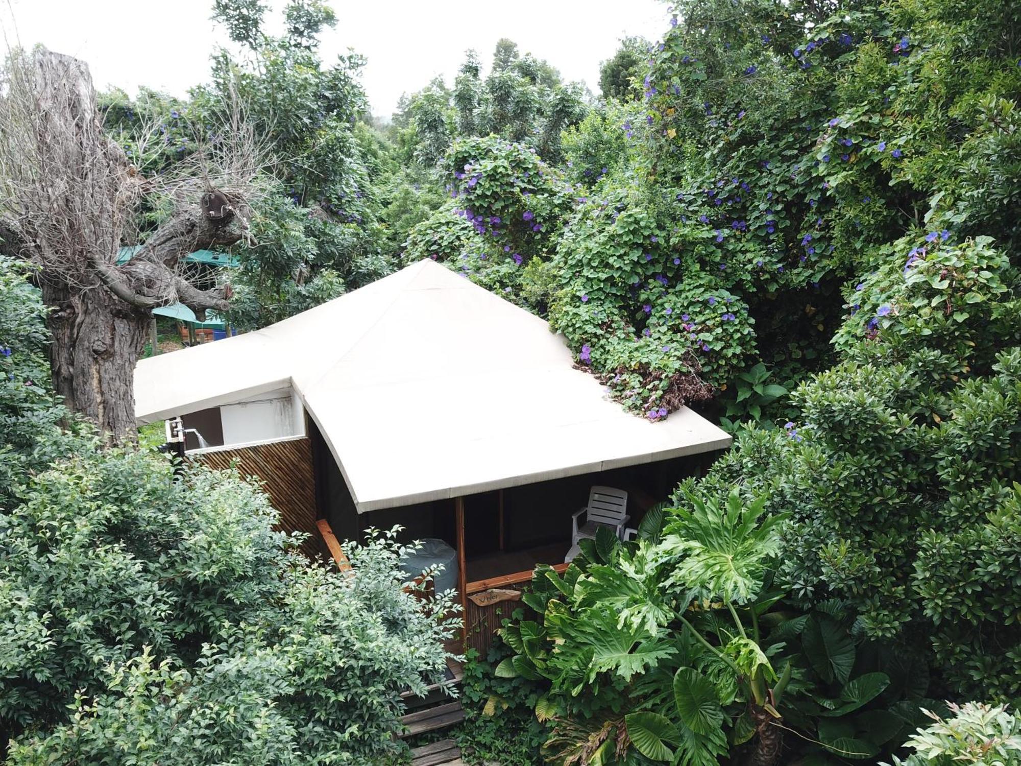 Mali Boutique Lodge & Tube 'N Axe Budget Accommodation Stormsrivier Habitación foto